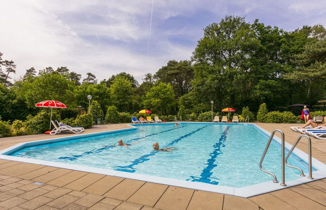 Wellness Forest Retreat - Foto 14
