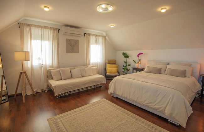 Vineyard cottage Jelenov hrib - Foto 4