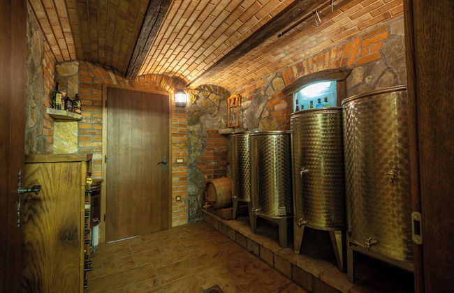 Vineyard cottage Jelenov hrib - Foto 17