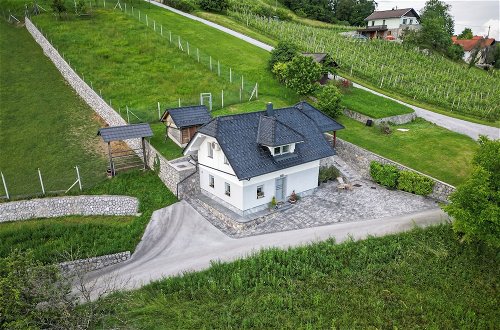 Photo 21 - Vineyard cottage Jelenov hrib