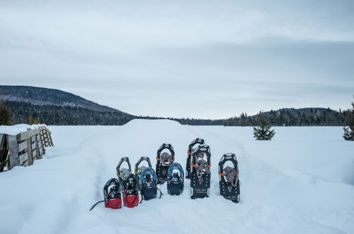 Photo 13 - Le Bois Rond des Ruisseaux