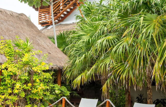 Deluxe Apartments Holbox - Foto 69