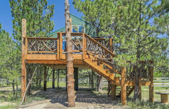 Tree Eagles Nest - Foto 21