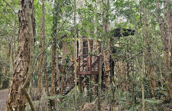 Wanderers Retreat Port Stephens - Foto 28