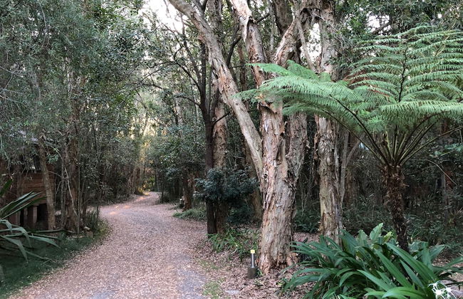 Wanderers Retreat Port Stephens - Foto 79