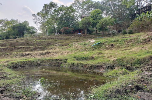 Photo 23 - Doi Pumuen Lahu Homestay