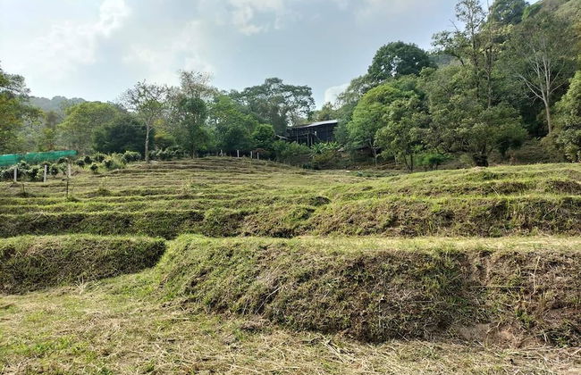 Doi Pumuen Lahu Homestay - Foto 24