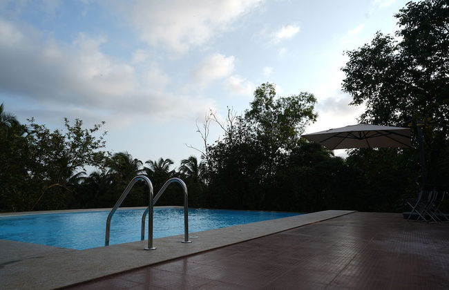 Indira Farms - Foto 22