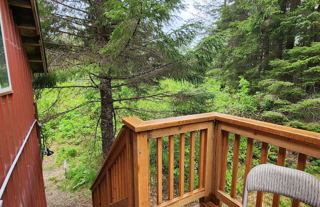 Bear Necessities Cottages - Foto 33