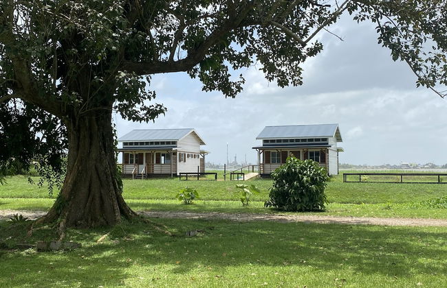 Koffiemama Tree B&B - Foto 22