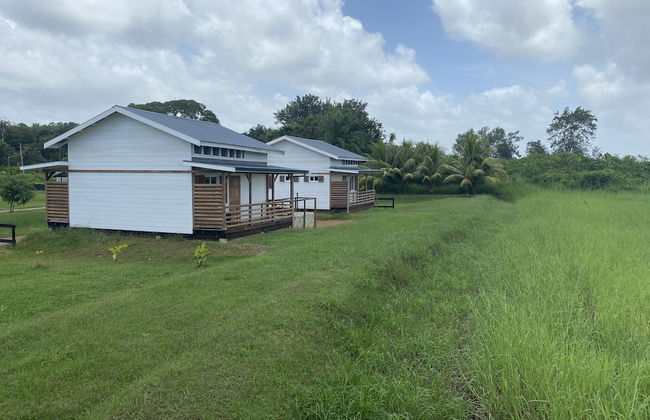 Koffiemama Tree B&B - Foto 24