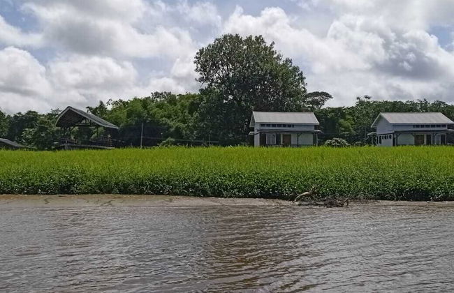 Koffiemama Tree B&B - Foto 17