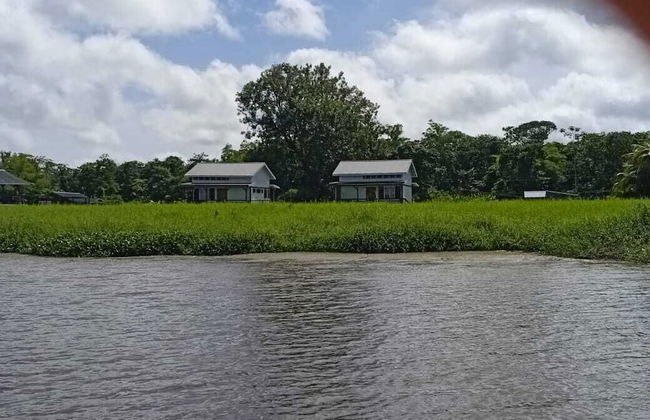 Koffiemama Tree B&B - Foto 29