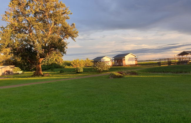 Koffiemama Tree B&B - Foto 18