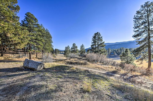 Photo 10 - Serene Forest Apt w/ Fishing & Hiking Nearby