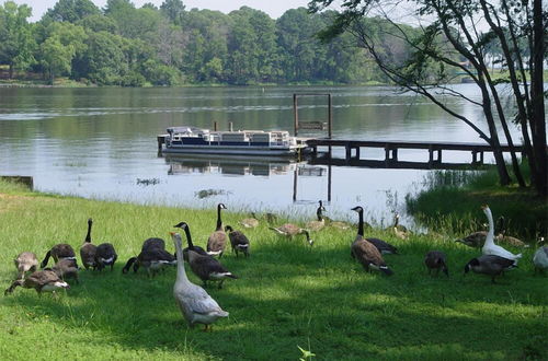 Foto 4 - Frankston Home W/deck & Fishing on Lake Palestine