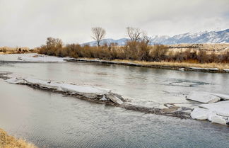 Photo 3 - Beautiful Jefferson River Cabin w/ Mountain Views