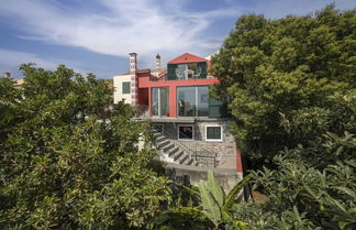 Photo 1 - Vacations in Funchal, sea View - Casa Strelitzia I