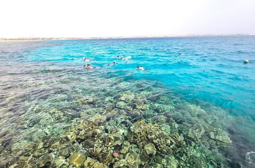 Foto 25 - Beachfront and sea View in 5 Star Hotel Hurghada