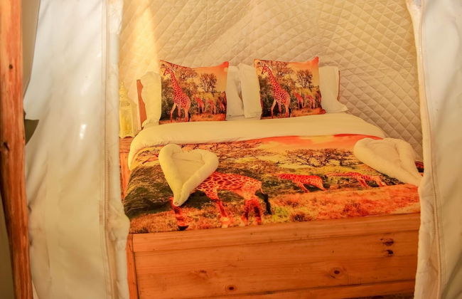 Amanya 2 Rooms Girraffe Family Tent - Foto 2