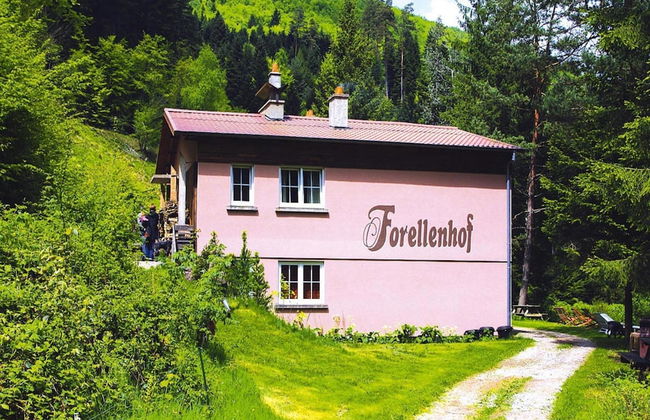 Apartment in a Charming Location on Forellenhof, Zorn Valley, Dabo - Photo 60