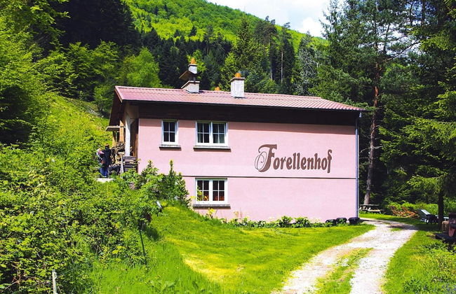 Apartment in a Charming Location on Forellenhof, Zorn Valley, Dabo - Photo 66