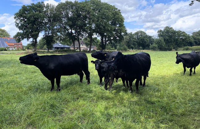 Ferienwohnungen in Strackholt - Foto 28