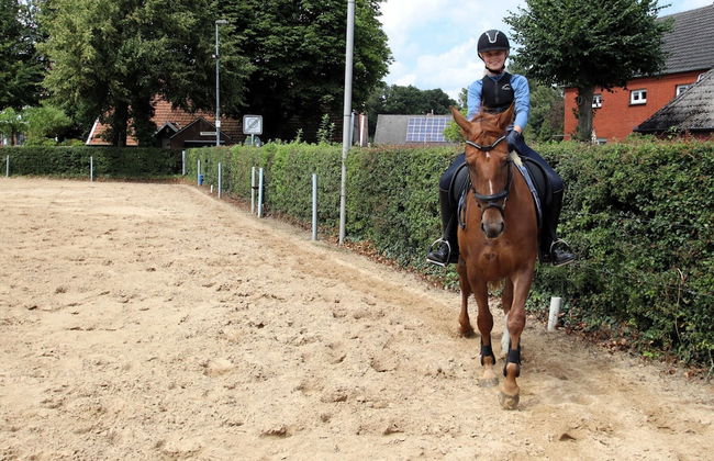 Ferienwohnungen in Strackholt - Foto 19