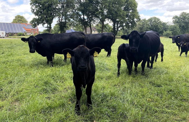 Ferienwohnungen in Strackholt - Foto 27