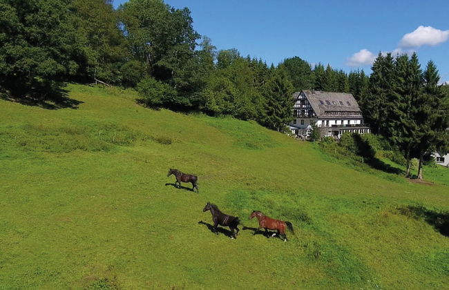 Large House in Winterberg in the Sauerland Region - Photo 76