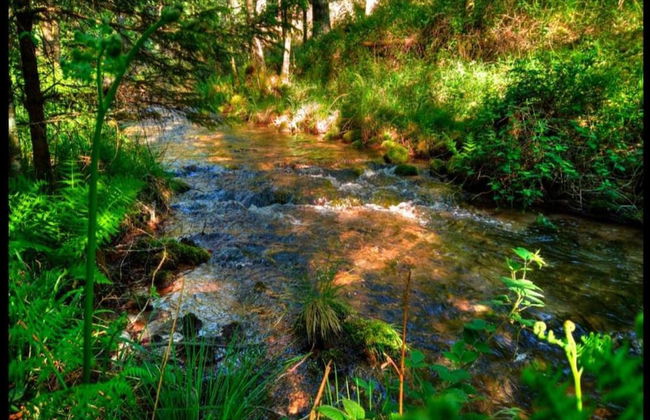 Unusual Hideaway in Lorraine - Foto 33