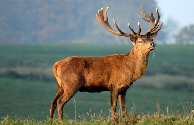 Unusual Hideaway in Lorraine - Foto 31