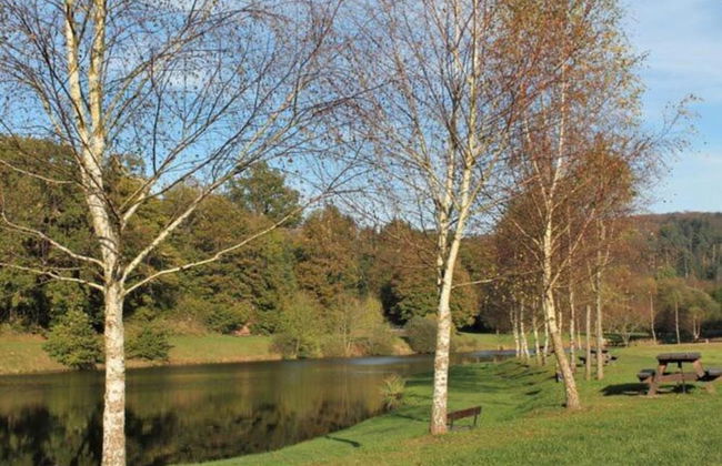 Unusual Hideaway in Lorraine - Foto 28