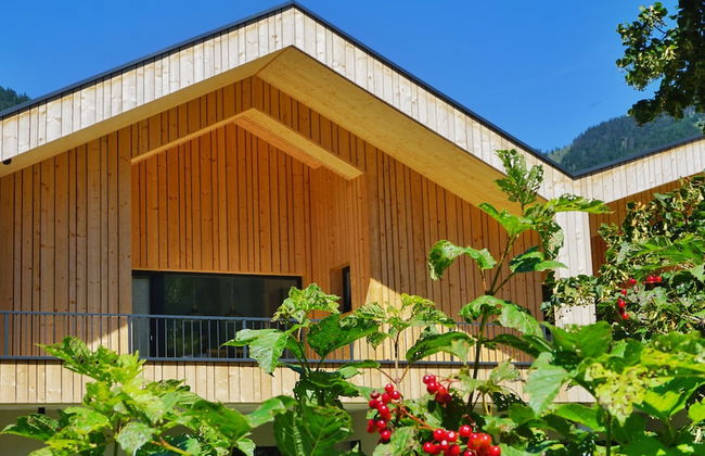 Da Alois - Alpine Premium Apartments - Foto 69