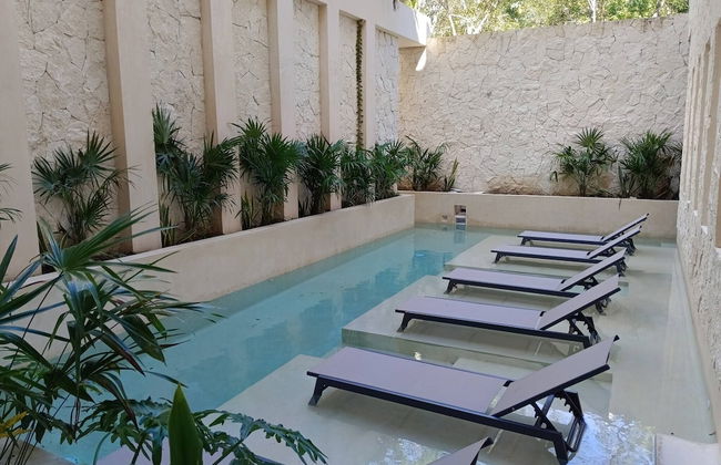 Private Pool - 1 Bedroom Condo - 2 To 4 People - Foto 11