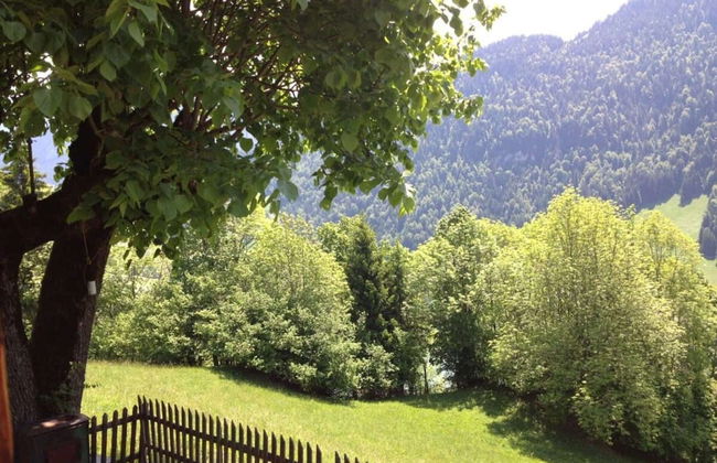 Chalet in Rossiniere With Sauna and Mountain Views - Foto 31