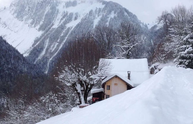 Chalet in Rossiniere With Sauna and Mountain Views - Foto 33