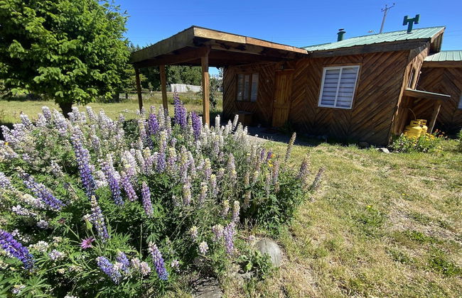 Patagonia Bordelago - Photo 16
