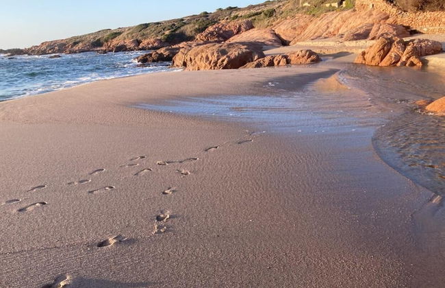 Casa I Corbezzoli - Paduledda - Isola Rossa - Photo 34