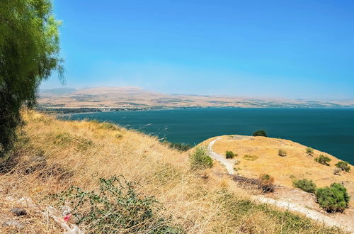 Photo 31 - Sea of Galilee Panorama Apt by SeaN'Rent