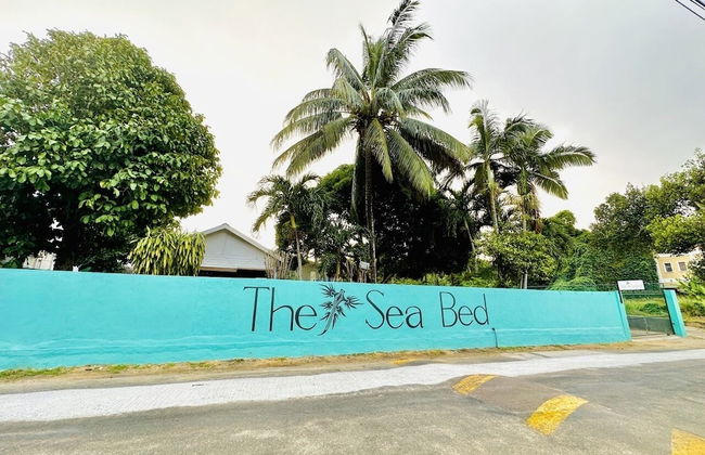 The Sea Bed Seychelles - Foto 70