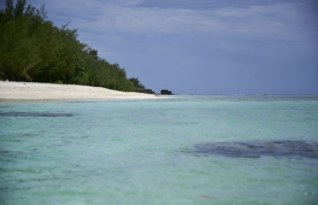 Rarotonga Villas - Foto 40