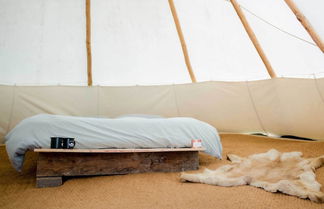 Photo 3 - Stunning Cornish Tipi With sea Views