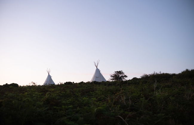Stunning Cornish Tipi With sea Views - Photo 9