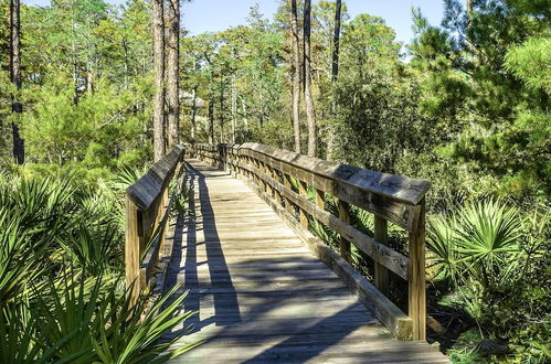 Photo 78 - Coastal Serenity on 30A