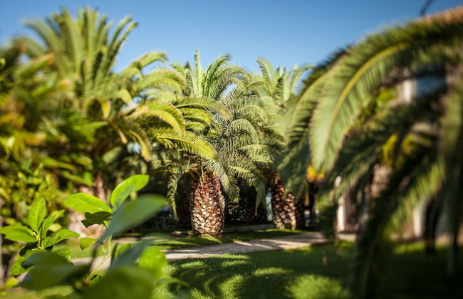 Finis Africae Country House - Foto 55