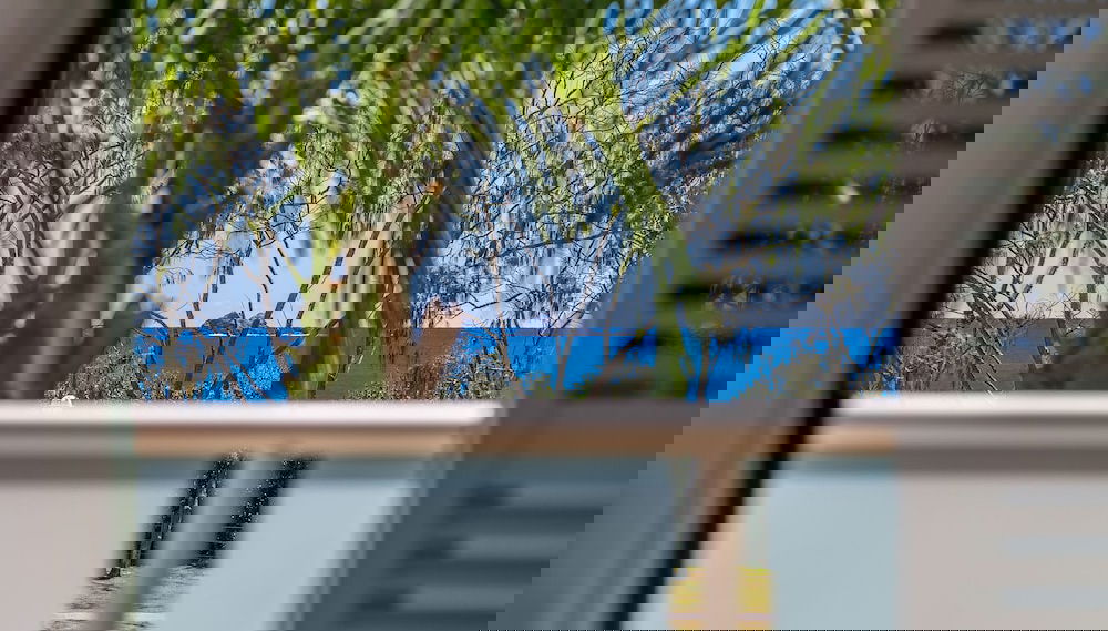 Imagem principal