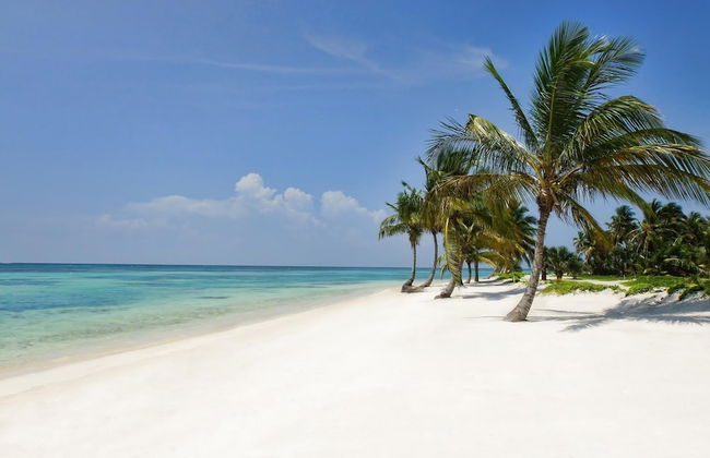 Modern Villa With Full Service Staff Close to Beach and Golf - Foto 40
