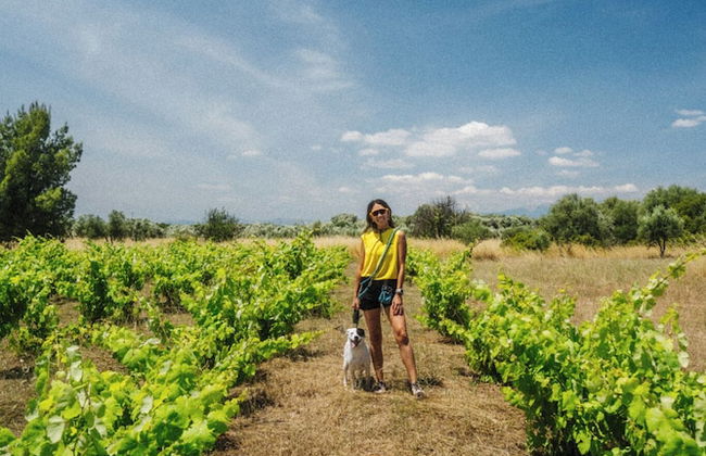 eumelia organic agrotourism farm - Foto 21