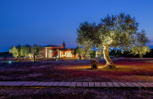 eumelia organic agrotourism farm - Foto 68